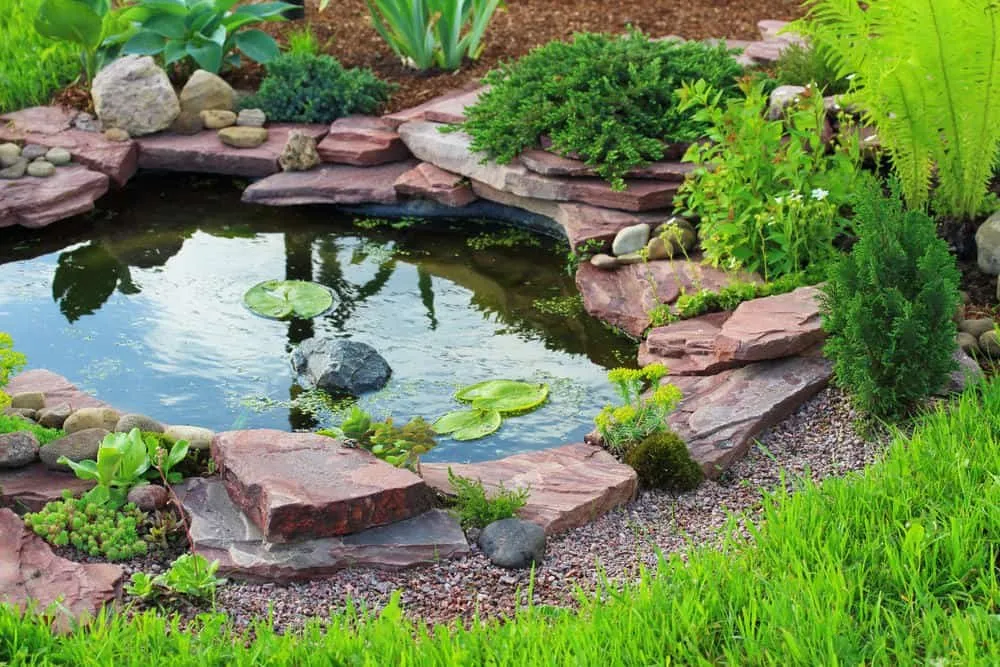 Trusted residential landscaping for homes across Vacaville, CA - Penny's From Heaven Landscaping