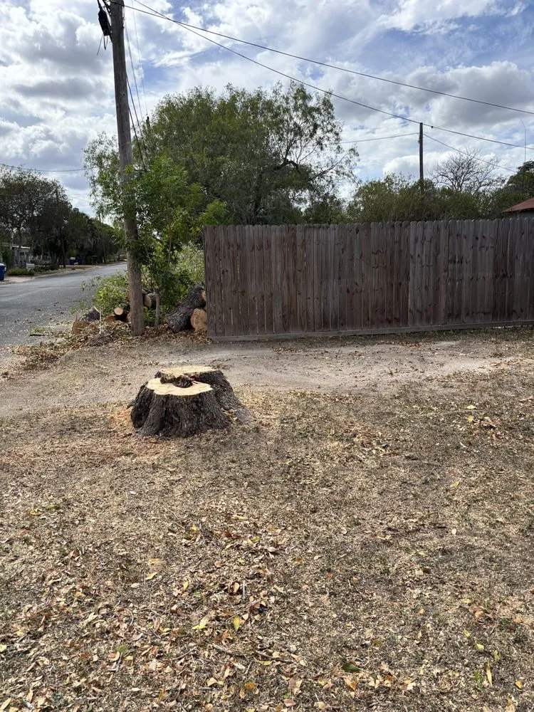 Expert lawn care service for year-round maintenance across Beeville, TX - Pennys Handy Service