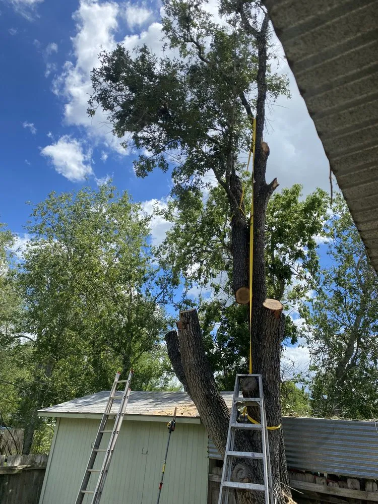 Reliable garden landscaping in Beeville, TX - Pennys Handy Service