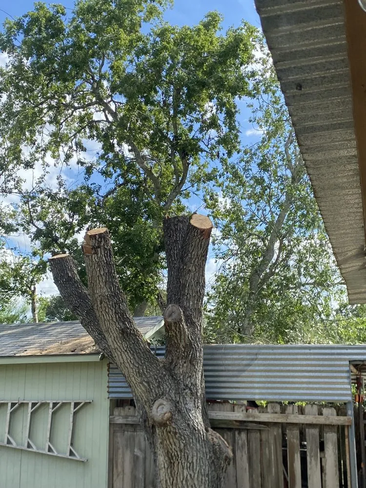 Professional lawn mowing service experts serving Beeville, TX - Pennys Handy Service