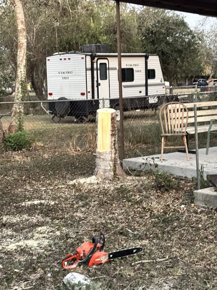 Reliable yard cleanup service in Beeville, TX by Pennys Handy Service