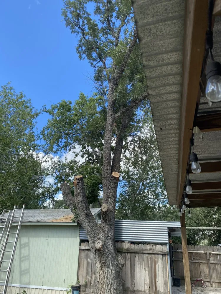 Affordable lawn care service in Beeville, TX - Pennys Handy Service