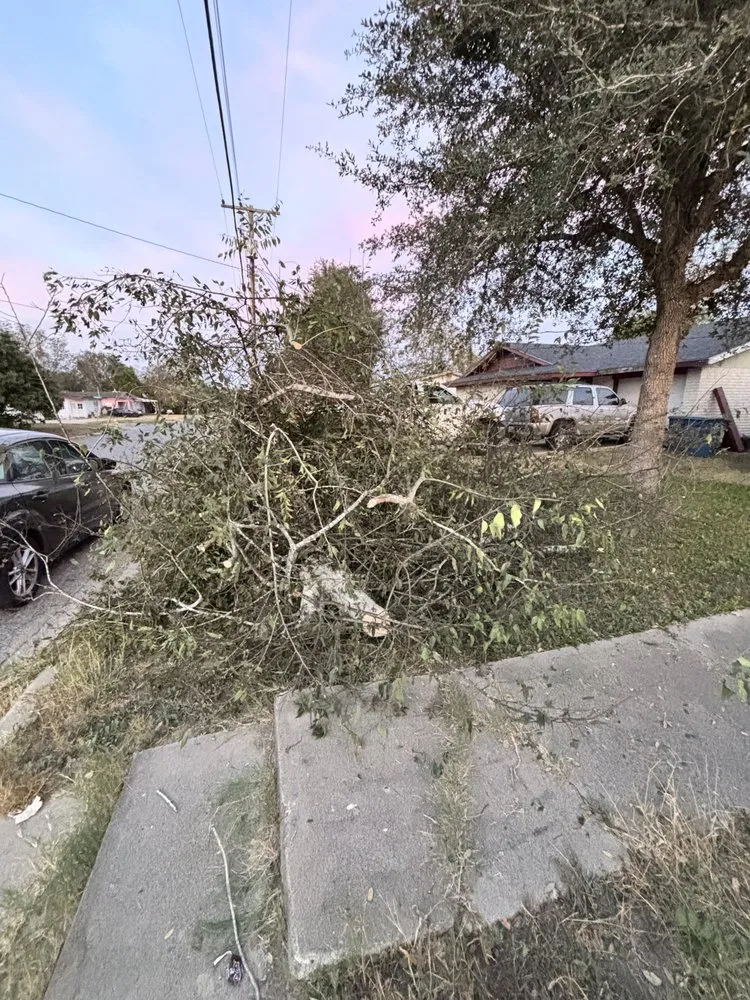 Reliable garden landscaping experts serving Beeville, TX - Pennys Handy Service