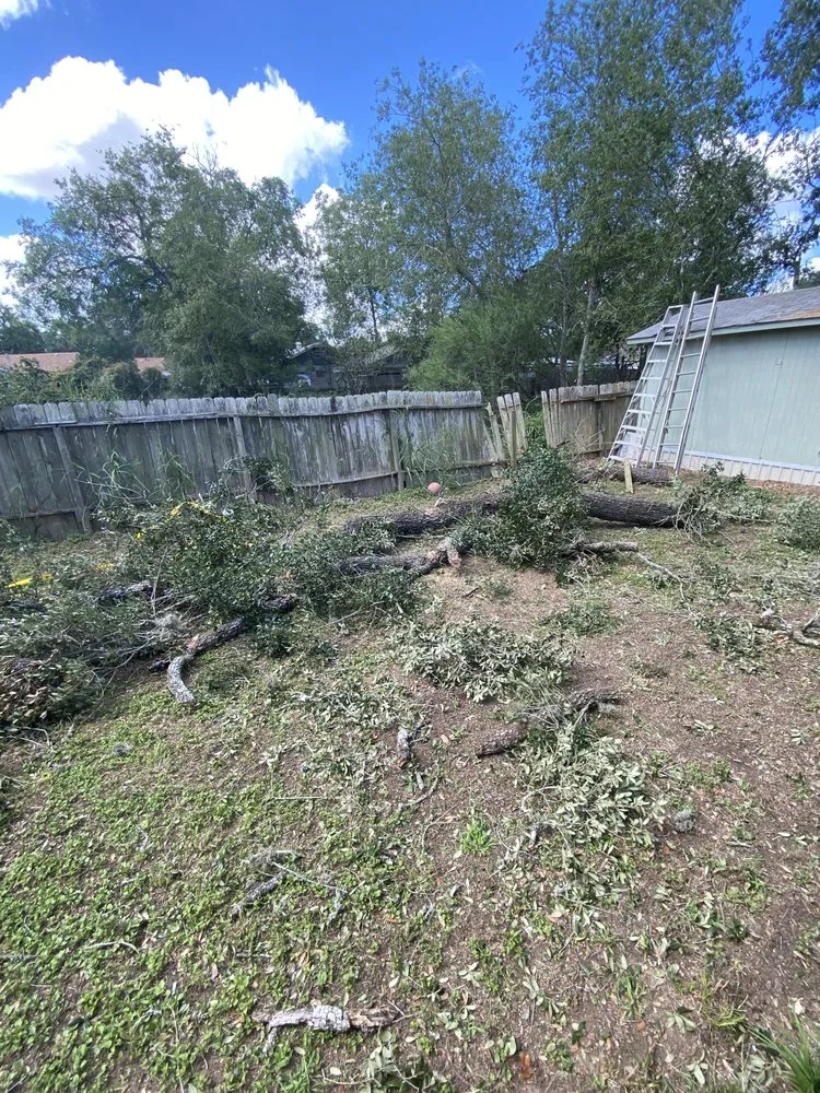 Top-rated yard maintenance with custom design in Beeville, TX by Pennys Handy Service