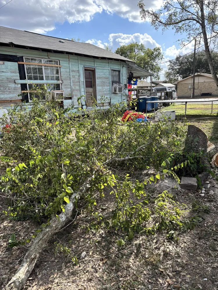 Local landscape design experts serving Beeville, TX - Pennys Handy Service