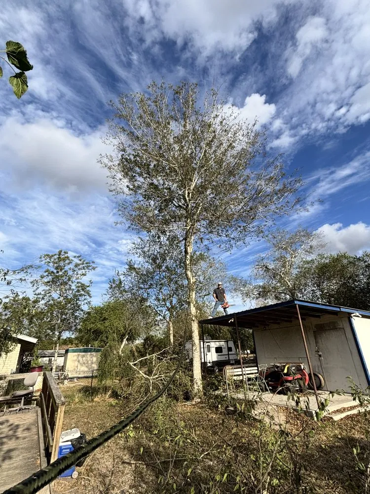 Trusted landscaping services in Beeville, TX by Pennys Handy Service