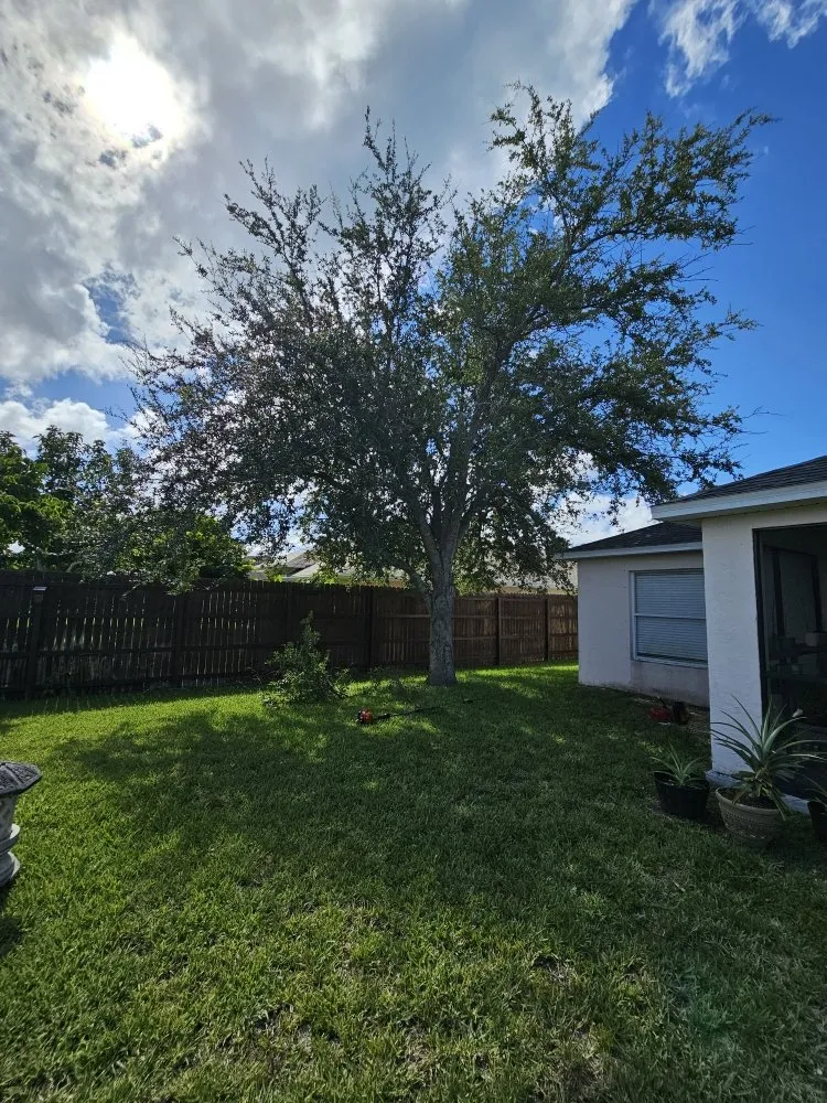 Top-rated residential landscaping for homes across Port St. Lucie, FL - Penny's Property Services