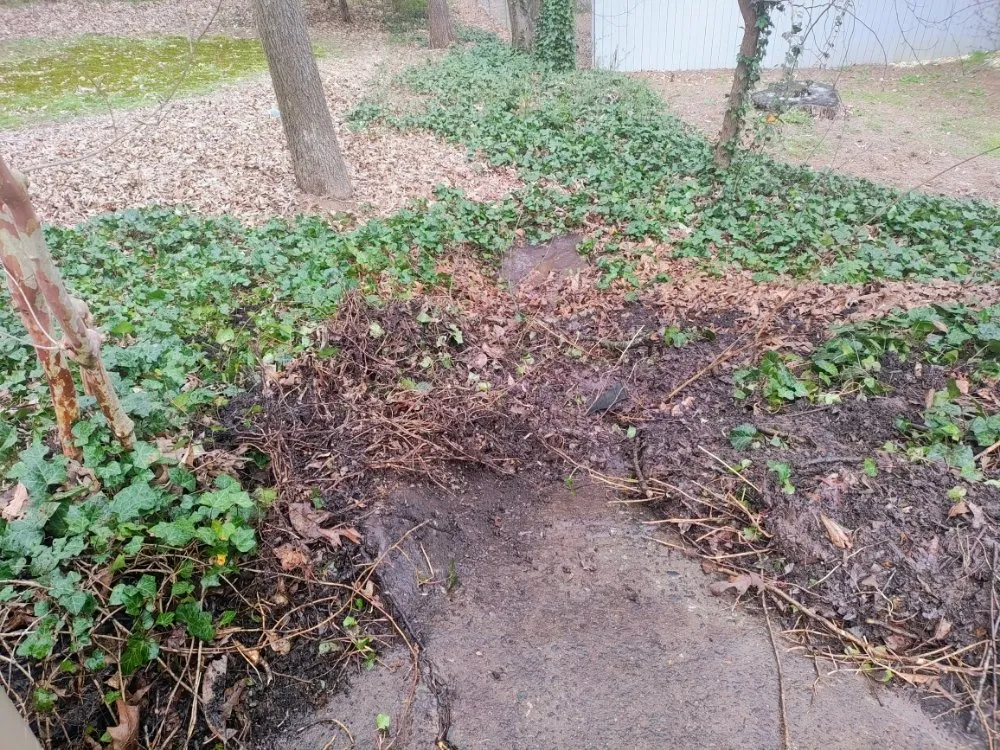 Affordable lawn care service in Woodstock, GA by Pennys Way Painting Pressure Washing and Lawn Care