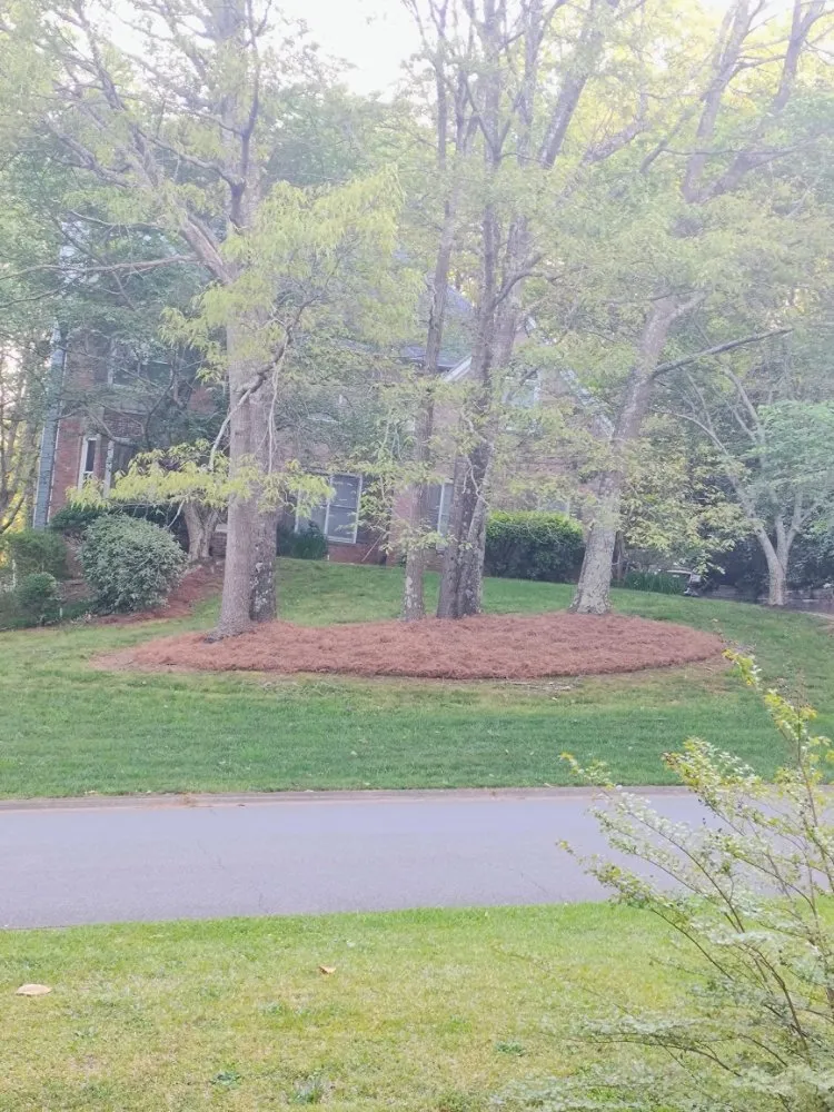 Reliable landscape installation in Woodstock, GA - Pennys Way Painting Pressure Washing and Lawn Care