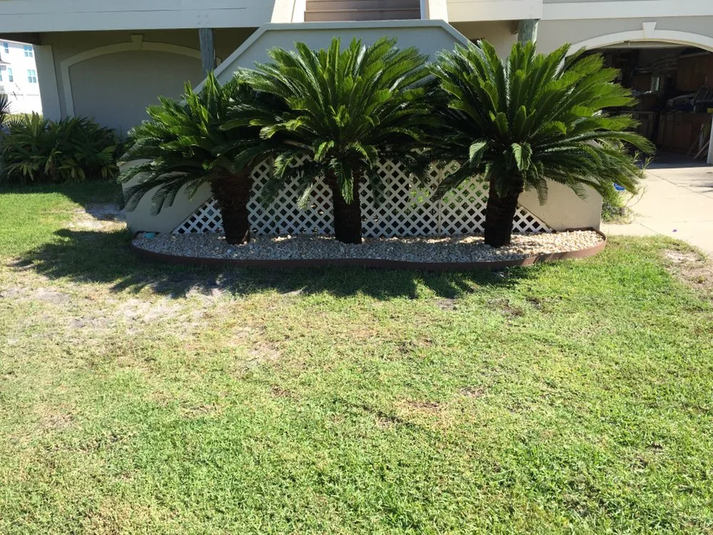 Local residential landscaping for residential properties in Pensacola Beach, FL by Pensacola Beach Lawn Care