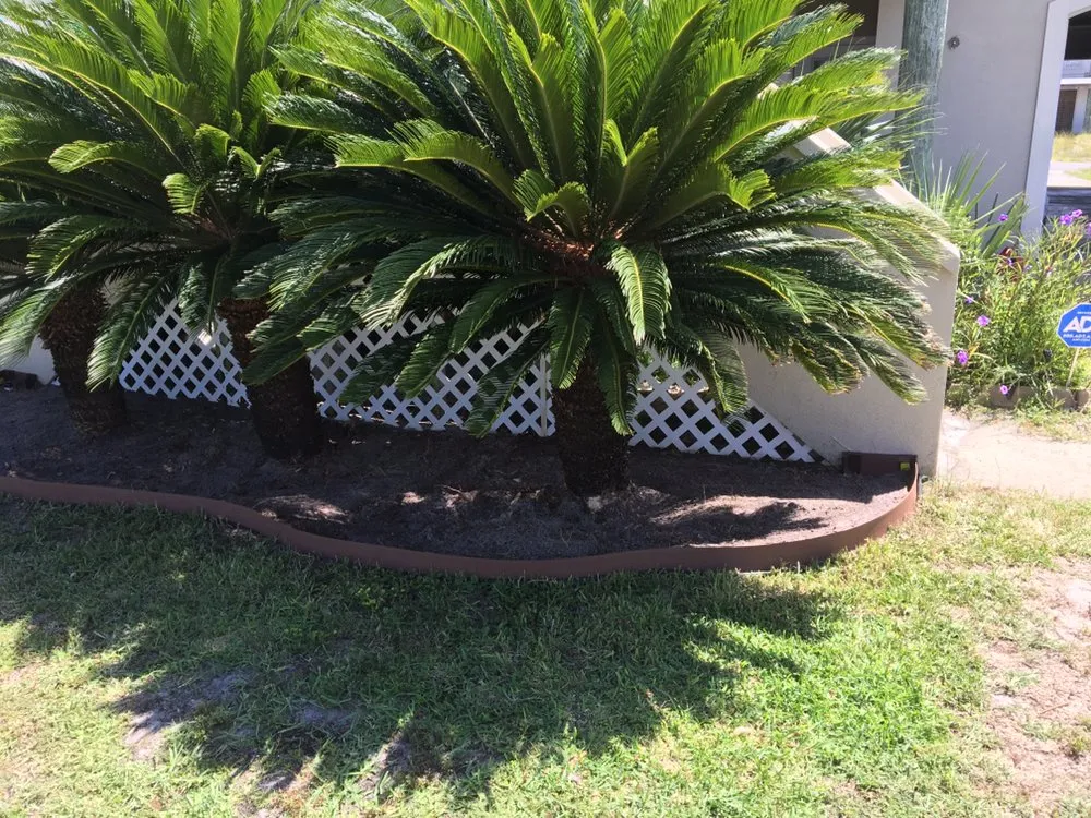 Reliable landscape design experts serving Pensacola Beach, FL - Pensacola Beach Lawn Care