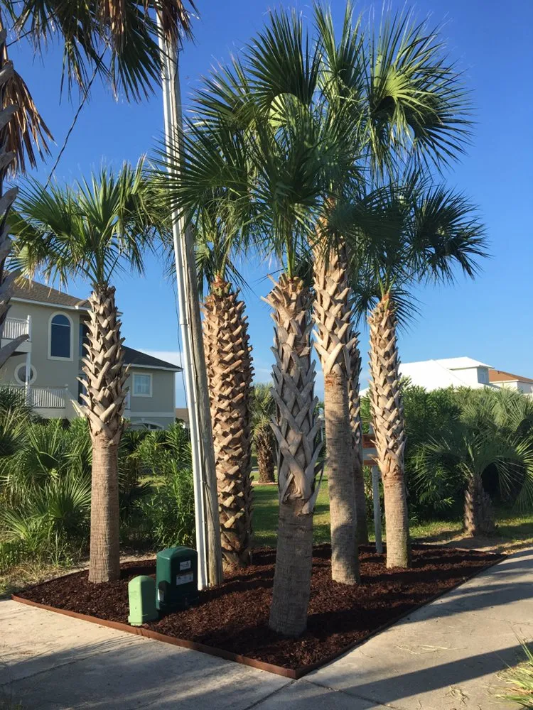 Local garden landscaping experts serving Pensacola Beach, FL - Pensacola Beach Lawn Care