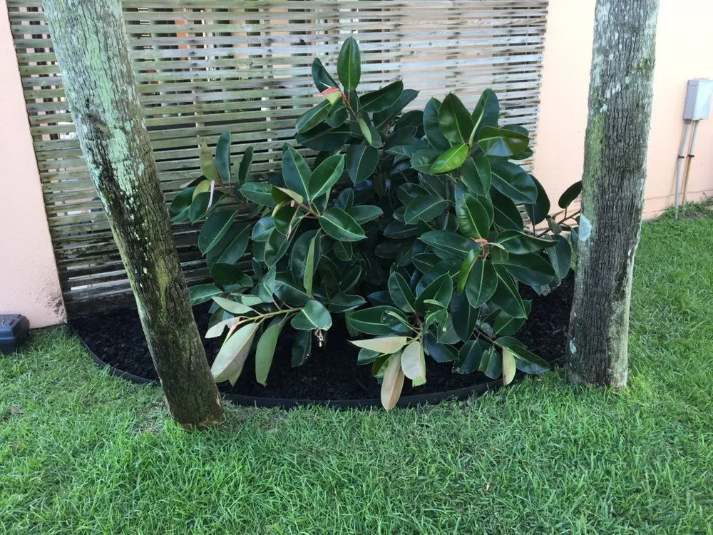 Reliable garden landscaping in Pensacola Beach, FL by Pensacola Beach Lawn Care