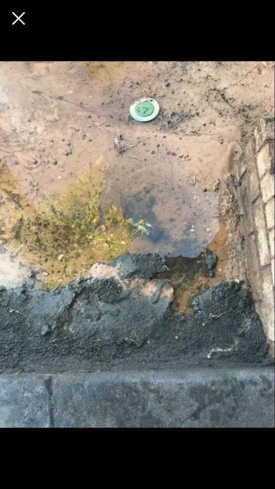 Local garden landscaping near you across Pensacola, FL - Pensacola Custom Curbs