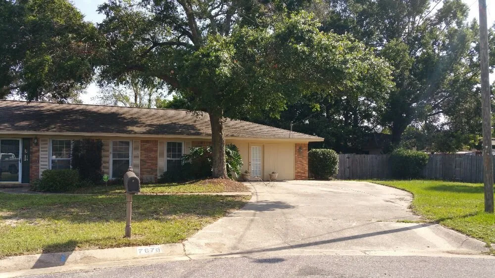 Top-rated lawn care service experts serving Pensacola, FL - Pensacola Lawn and Tree