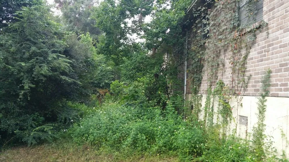 Reliable landscape design for homes across Pensacola, FL - Pensacola Lawn and Tree