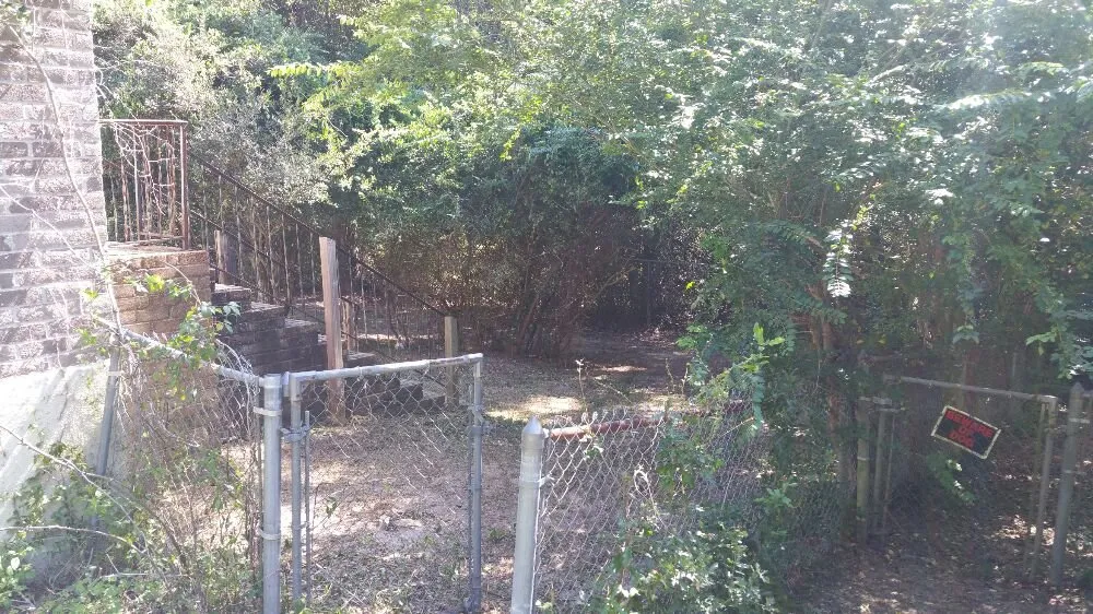 Expert yard maintenance in Pensacola, FL by Pensacola Lawn and Tree