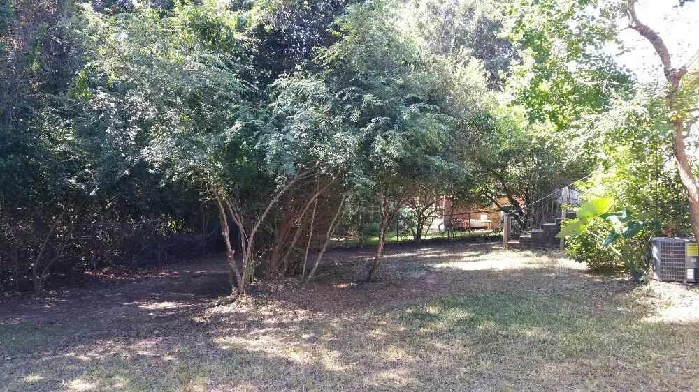 Expert landscape installation in Pensacola, FL - Pensacola Lawn and Tree