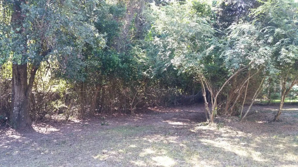 Custom residential landscaping in Pensacola, FL - Pensacola Lawn and Tree