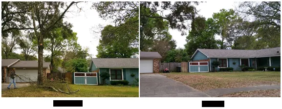 Affordable lawn care service experts serving Pensacola, FL - Pensacola Lawn and Tree