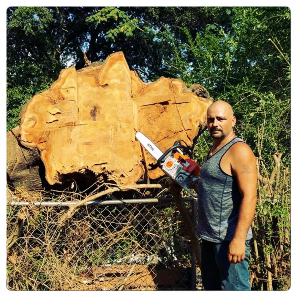 Expert outdoor landscaping experts serving Pensacola, FL - Pensacola Lawn and Tree