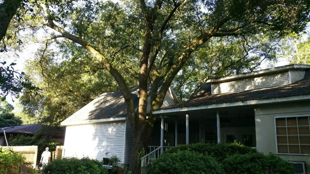 Reliable landscape installation in Pensacola, FL by Pensacola Lawn and Tree