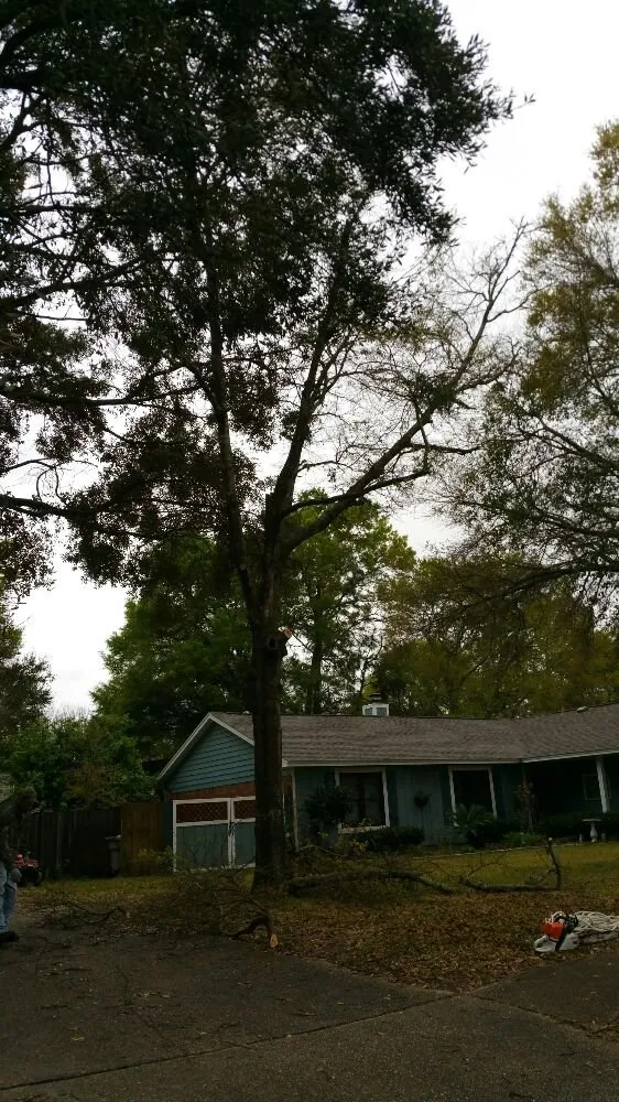 Trusted landscaping services for outdoor upgrades across Pensacola, FL - Pensacola Lawn and Tree