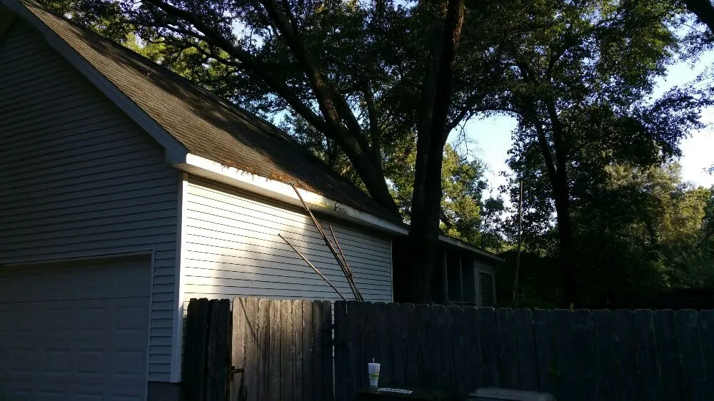 Local yard cleanup service experts serving Pensacola, FL - Pensacola Lawn and Tree