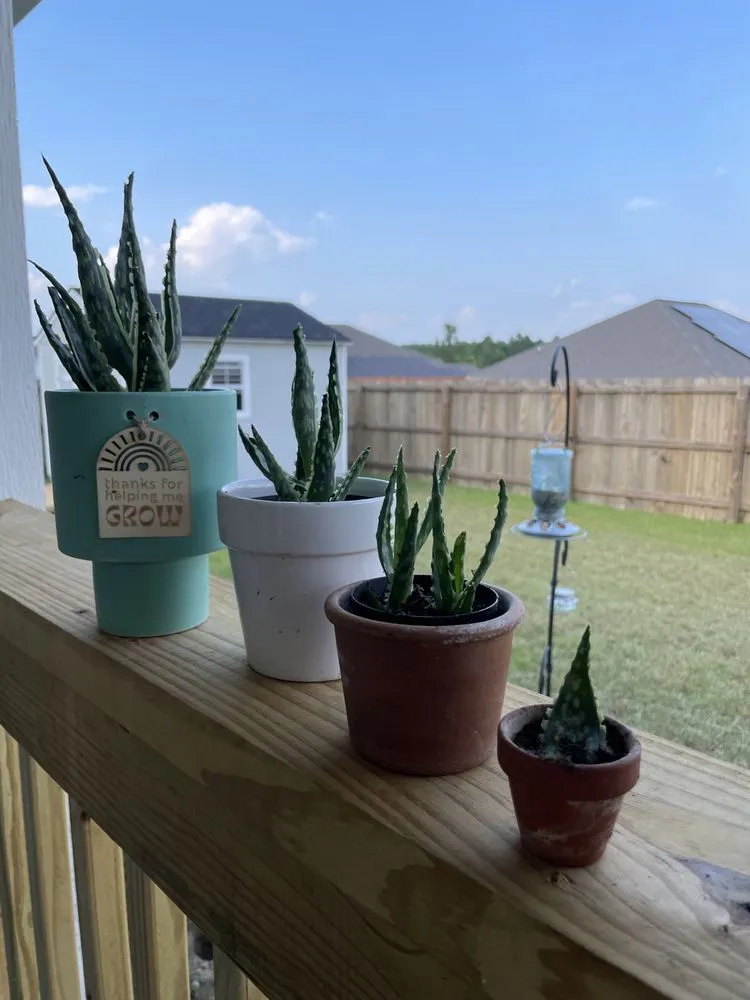 Reliable outdoor landscaping in Pensacola, FL by Pensacola Seed & Garden North