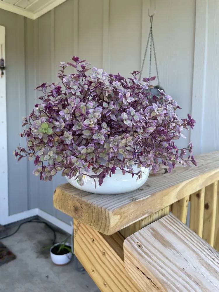 Affordable yard maintenance in Pensacola, FL - Pensacola Seed & Garden North