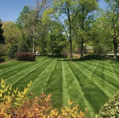 Penscape Landscaping