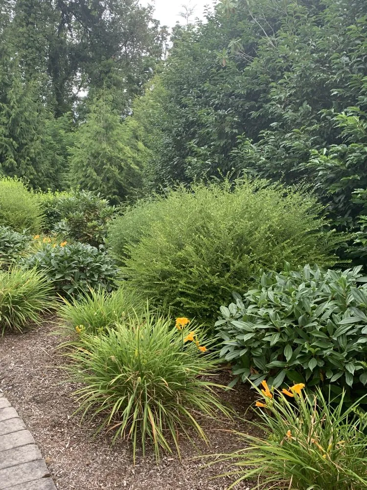 Custom lawn care service in Oregon City, OR - Pensmore landscaping