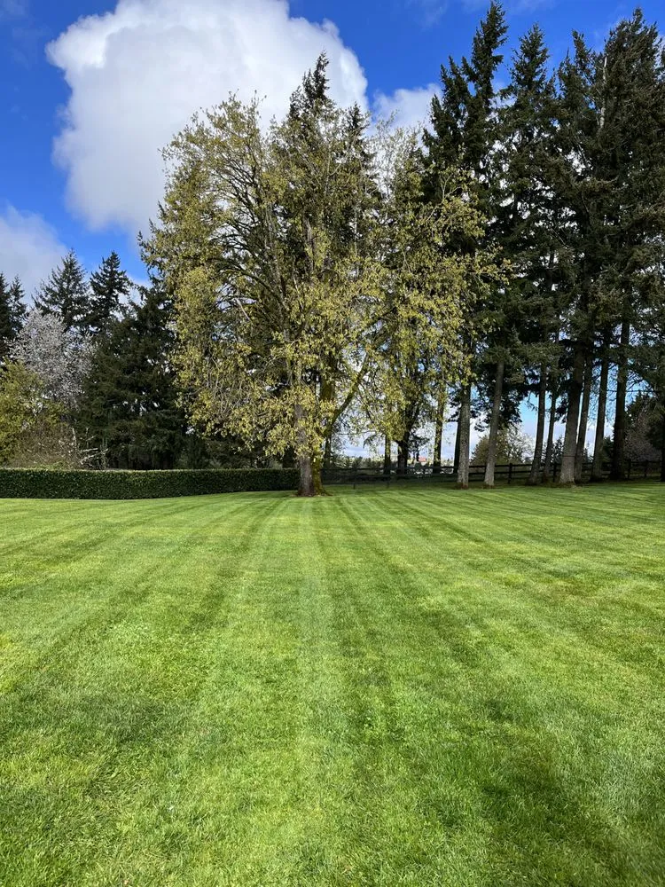 Professional lawn mowing service for year-round maintenance in Oregon City, OR by Pensmore landscaping