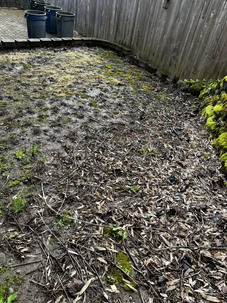 Expert yard cleanup service with custom design across Oregon City, OR - Pensmore landscaping