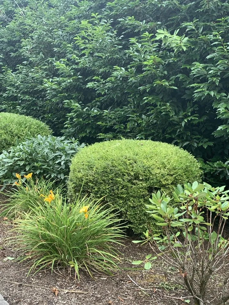 Professional landscaping services experts serving Oregon City, OR - Pensmore landscaping