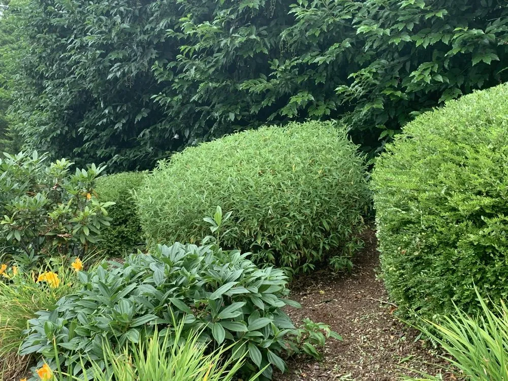 Reliable outdoor landscaping for residential properties across Oregon City, OR - Pensmore landscaping