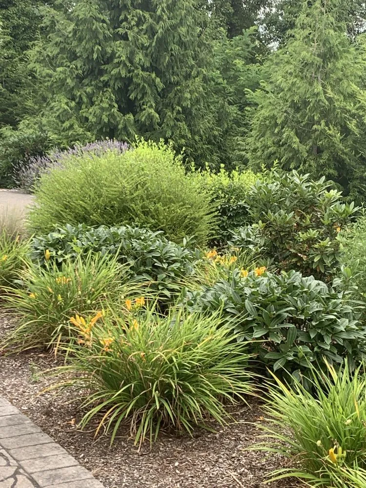 Custom landscaping services experts serving Oregon City, OR - Pensmore landscaping