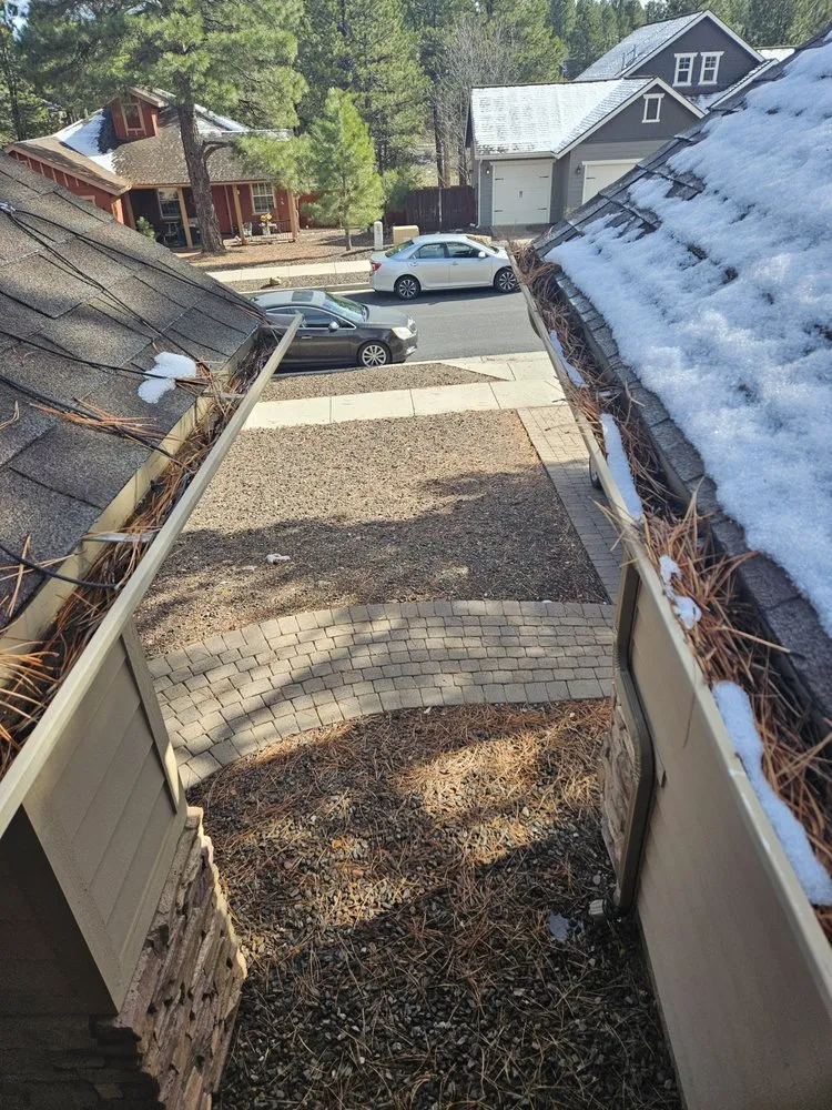 Local yard cleanup service experts serving Flagstaff, AZ - Penstrada Cleaners