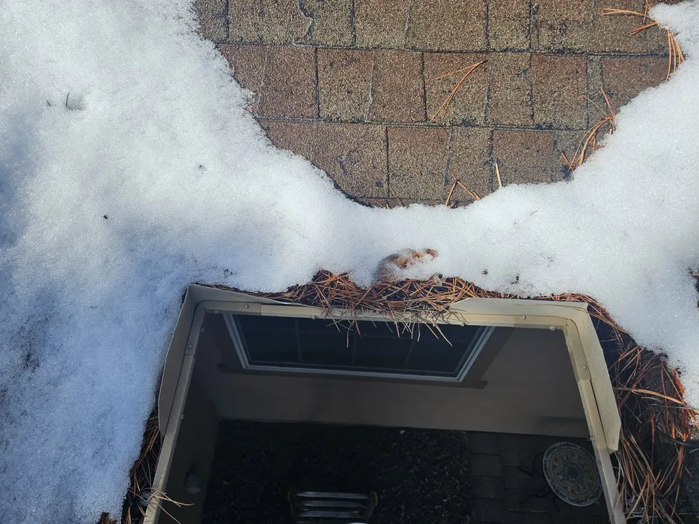 Expert outdoor landscaping in Flagstaff, AZ - Penstrada Cleaners