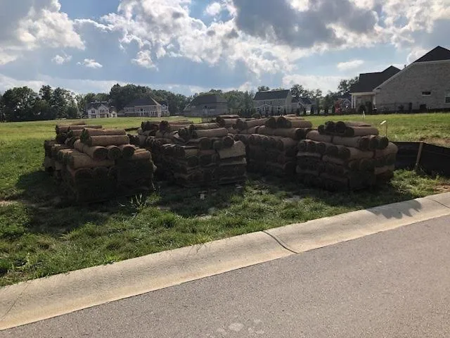 Expert yard cleanup service in Indianapolis, IN by Peony’s landscaping