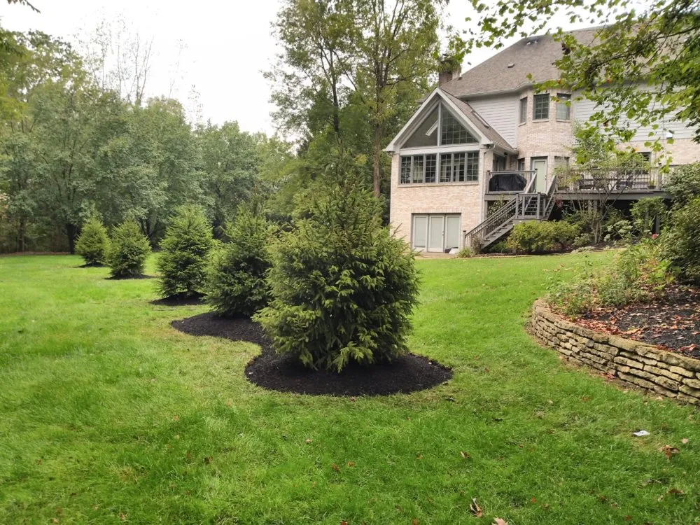 Trusted lawn care service for beautiful yards in Indianapolis, IN by Peony’s landscaping