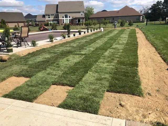 Affordable residential landscaping with custom design in Indianapolis, IN by Peony’s landscaping