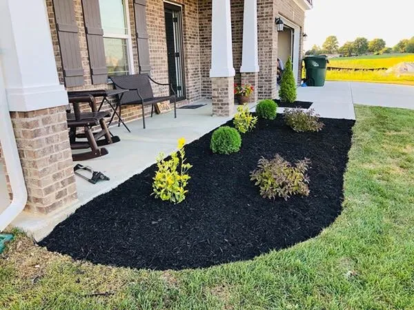Trusted landscape design in Indianapolis, IN - Peony’s landscaping