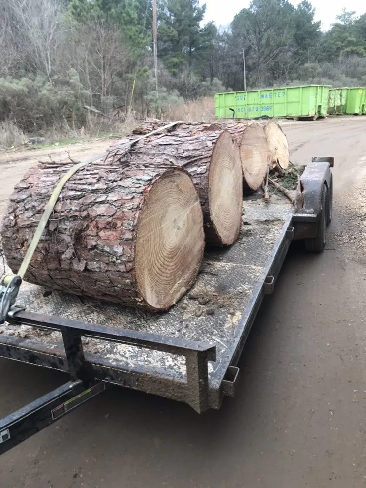 Expert outdoor landscaping for beautiful yards in Jackson, MS by People Place's Enterprise