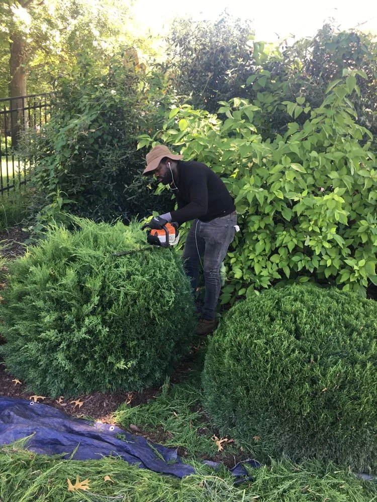 Affordable yard cleanup service near you across Florissant, MO - People’s Choice Landscaping