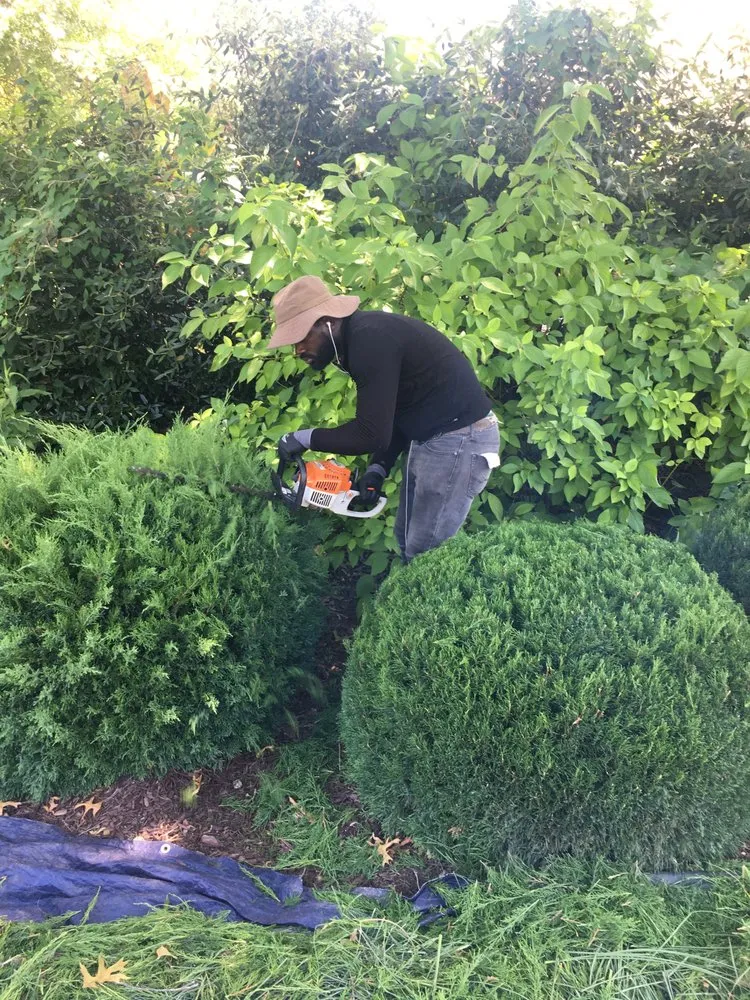 Local yard cleanup service experts serving Florissant, MO - People’s Choice Landscaping