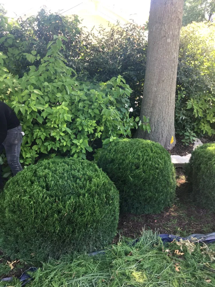 Professional landscaping services for residential properties across Florissant, MO - People’s Choice Landscaping