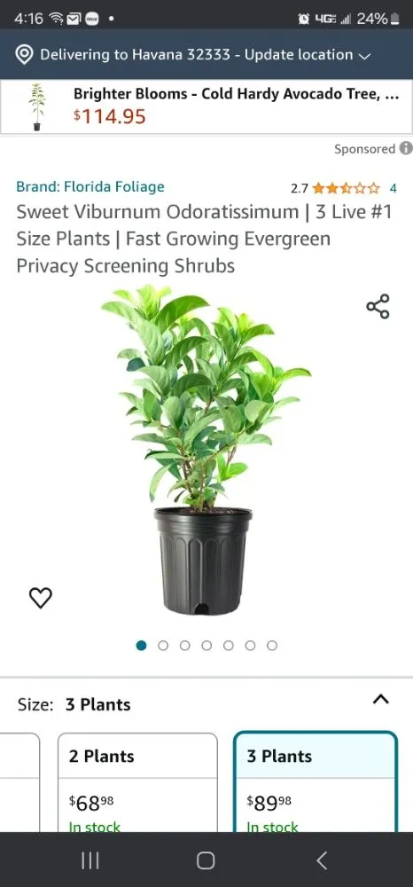 Trusted lawn care service for homes in Panama City, FL by Peoples Lawn & Irrigation