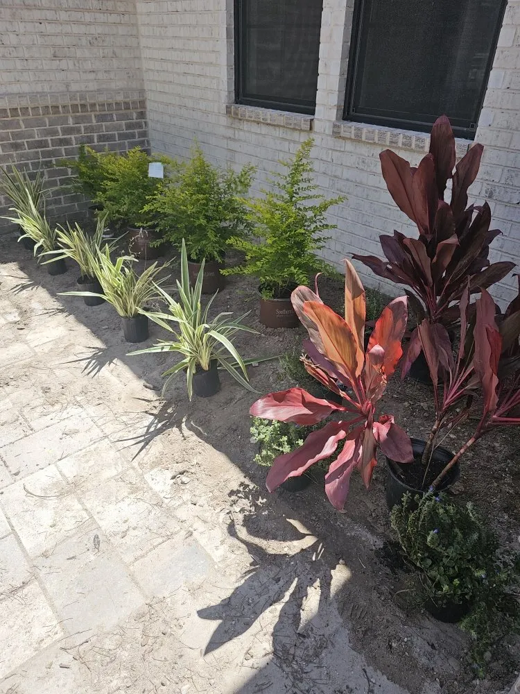 Reliable yard cleanup service experts serving Panama City, FL - Peoples Lawn & Irrigation