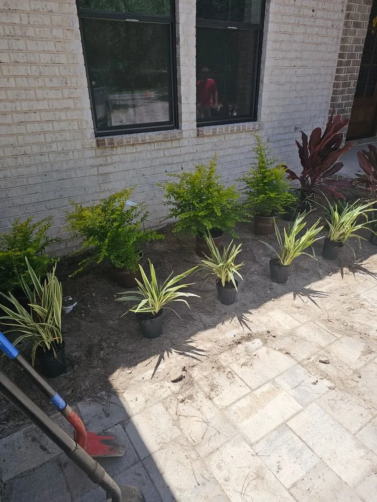 Top-rated outdoor landscaping for year-round maintenance in Panama City, FL by Peoples Lawn & Irrigation